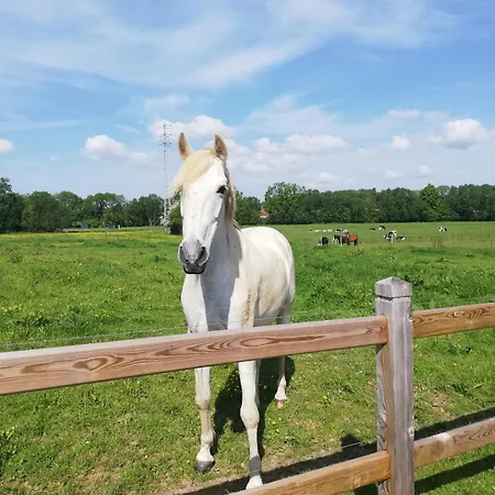 Roos 14, Sfeervol Vakantieverblijf In Hartje Hageland Casa vacanze